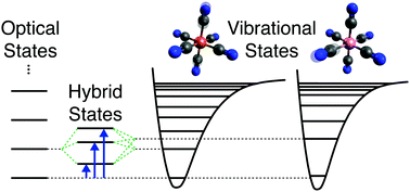 Graphical abstract: Photon-mediated hybridization of molecular vibrational states