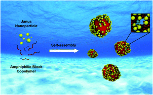Graphical abstract: Co-assembly behaviour of Janus nanoparticles and amphiphilic block copolymers in dilute solution