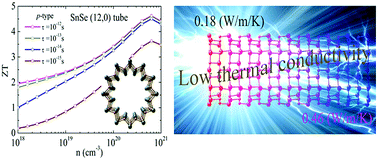 Graphical abstract: Exceptional thermoelectric performance of a “star-like” SnSe nanotube with ultra-low thermal conductivity and a high power factor