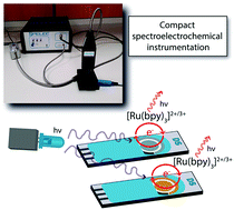 Graphical abstract: Electroluminescence of [Ru(bpy)3]2+ at gold and silver screen-printed electrodes followed by real-time spectroelectrochemistry