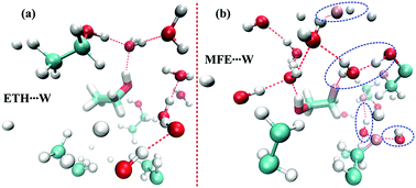 Graphical abstract: Hydrophobic fluorine mediated switching of the hydrogen bonding site as well as orientation of water molecules in the aqueous mixture of monofluoroethanol: IR, molecular dynamics and quantum chemical studies