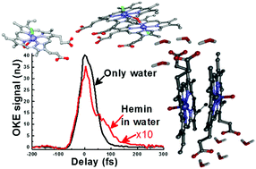 Graphical abstract: Ultrafast dynamics of hemin aggregates