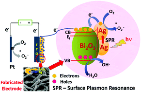 Graphical abstract: Efficient interfacial charge transfer through plasmon sensitized Ag@Bi2O3 hierarchical photoanodes for photoelectrocatalytic degradation of chlorinated phenols