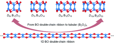 Graphical abstract: Double-ring tubular (B2O2)n clusters (n = 6–42) rolled up from the most stable BO double-chain ribbon in boron monoxides