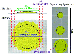 Graphical abstract: Spreading dynamics of a precursor film of nanodrops on total wetting surfaces