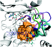 Graphical abstract: Development of the first model of a phosphorylated, ATP/Mg2+-containing B-Raf monomer by molecular dynamics simulations: a tool for structure-based design