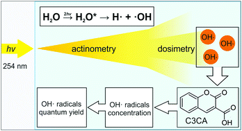 Graphical abstract: At the crossroad of photochemistry and radiation chemistry: formation of hydroxyl radicals in diluted aqueous solutions exposed to ultraviolet radiation