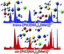 Graphical abstract: Cisplatin and transplatin interaction with methionine: bonding motifs assayed by vibrational spectroscopy in the isolated ionic complexes
