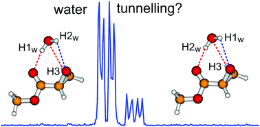 Graphical abstract: Rotational spectroscopy of the methyl glycidate–water complex: conformation and water and methyl rotor tunnelling motions