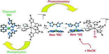 Graphical abstract: Theoretical illumination of highly original photoreactive 3MC states and the mechanism of the photochemistry of Ru(ii) tris(bidentate) complexes