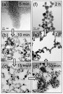 Graphical abstract: Phase formation and stability of Ag–60 at%Cu alloy nanoparticles synthesized by chemical routes in aqueous media
