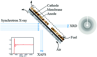Graphical abstract: Synchrotron radiation in situ X-ray absorption fine structure and in situ X-ray diffraction analysis of a high-performance cobalt catalyst towards the oxygen reduction reaction