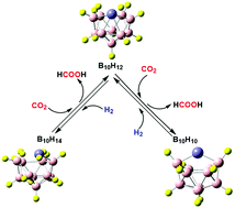Graphical abstract: Design of a catalyst through Fe doping of the boron cage B10H14 for CO2 hydrogenation and investigation of the catalytic character of iron hydride (Fe–H)