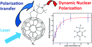 Graphical abstract: Photo-induced radical polarization and liquid-state dynamic nuclear polarization using fullerene nitroxide derivatives