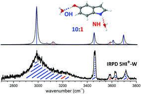 Graphical abstract: Sequential microhydration of cationic 5-hydroxyindole (5HI+): infrared photodissociation spectra of 5HI+–Wn clusters (W = H2O, n ≤ 4)