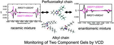 Graphical abstract: Stereochemical effects on dynamics in two-component systems of gelators with perfluoroalkyl and alkyl chains as revealed by vibrational circular dichroism