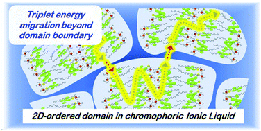 Graphical abstract: Two-dimensional structural ordering in a chromophoric ionic liquid for triplet energy migration-based photon upconversion