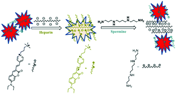Graphical abstract: A “turn-off” red-emitting fluorophore for nanomolar detection of heparin