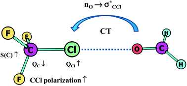 Graphical abstract: Hydrogen bonds, and σ-hole and π-hole bonds – mechanisms protecting doublet and octet electron structures