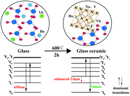 Graphical abstract: Different dominant transitions in holmium and ytterbium codoped oxyfluoride glass and glass ceramics originating from varying phonon energy environments