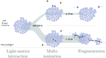 Graphical abstract: The role of charge and proton transfer in fragmentation of hydrogen-bonded nanosystems: the breakup of ammonia clusters upon single photon multi-ionization