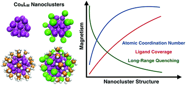 Graphical abstract: Ligand mediated evolution of size dependent magnetism in cobalt nanoclusters