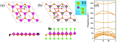 Graphical abstract: Prediction of topological property in TlPBr2 monolayer with appreciable Rashba effect