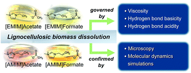 Graphical abstract: Relationship between lignocellulosic biomass dissolution and physicochemical properties of ionic liquids composed of 3-methylimidazolium cations and carboxylate anions