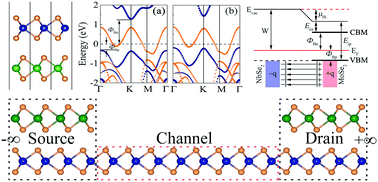 Graphical abstract: Tunable Schottky contacts in MSe2/NbSe2 (M = Mo and W) heterostructures and promising application potential in field-effect transistors