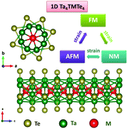 Graphical abstract: A novel class of one-dimensional Ta4TMTe4 (TM = Cr, Fe, Co and Ni) compounds with strain-switched magnetic states