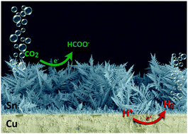 Graphical abstract: Identification of a new substrate effect that enhances the electrocatalytic activity of dendritic tin in CO2 reduction