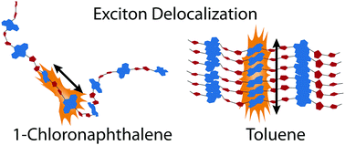 Graphical abstract: Solvent-mediated aggregate formation of PNDIT2: decreasing the available conformational subspace by introducing locally highly ordered domains