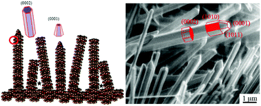Graphical abstract: Multiscale design of ZnO nanostructured photocatalysts
