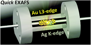 Graphical abstract: On the mechanism of rapid metal exchange between thiolate-protected gold and gold/silver clusters: a time-resolved in situ XAFS study