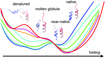 Graphical abstract: pH-Dependent cooperativity and existence of a dry molten globule in the folding of a miniprotein BBL