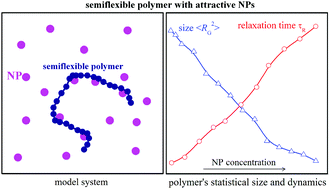 Graphical abstract: Static and dynamic properties of a semiflexible polymer in a crowded environment with randomly distributed immobile nanoparticles
