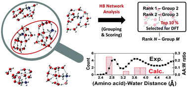 Graphical abstract: Efficient structural elucidation of microhydrated biomolecules through the interrogation of hydrogen bond networks
