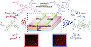 Graphical abstract: Isomeric organic semiconductors containing fused-thiophene cores: molecular packing and charge transport