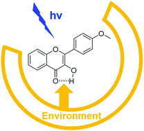 Graphical abstract: Ultrafast photophysics of the environment-sensitive 4′-methoxy-3-hydroxyflavone fluorescent dye