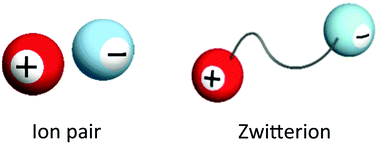 Graphical abstract: Design and properties of functional zwitterions derived from ionic liquids