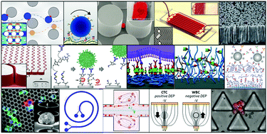 Graphical abstract: Materials and microfluidics: enabling the efficient isolation and analysis of circulating tumour cells