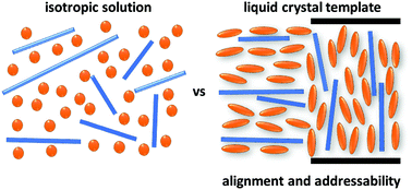 Graphical abstract: Liquid crystal templating as an approach to spatially and temporally organise soft matter