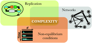 Graphical abstract: Exploring the emergence of complexity using synthetic replicators