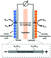 Graphical abstract: Self-powered electrochemical systems as neurochemical sensors: toward self-triggered in vivo analysis of brain chemistry