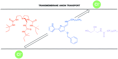 Graphical abstract: Anion transport and supramolecular medicinal chemistry