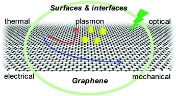 Graphical abstract: The physics and chemistry of graphene-on-surfaces