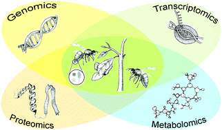 Graphical abstract: An integrative omics perspective for the analysis of chemical signals in ecological interactions