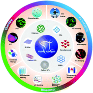 Graphical abstract: Carbon-based hybrid nanogels: a synergistic nanoplatform for combined biosensing, bioimaging, and responsive drug delivery