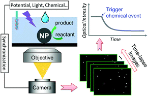 Graphical abstract: Imaging the chemical activity of single nanoparticles with optical microscopy