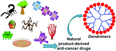 Graphical abstract: Dendrimers in combination with natural products and analogues as anti-cancer agents